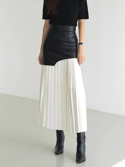 Pleated Contrast High Rise Skirt - Ebony's Shopping