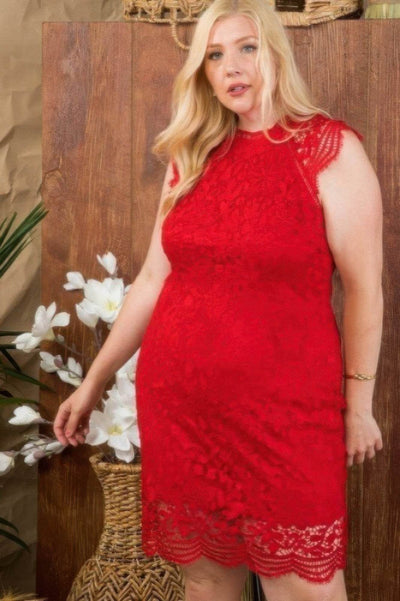 Lace Crochet Mini Raglan Dress With Zipper Back - Ebony's Shopping